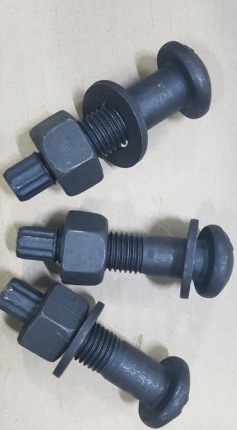 TS BOLT